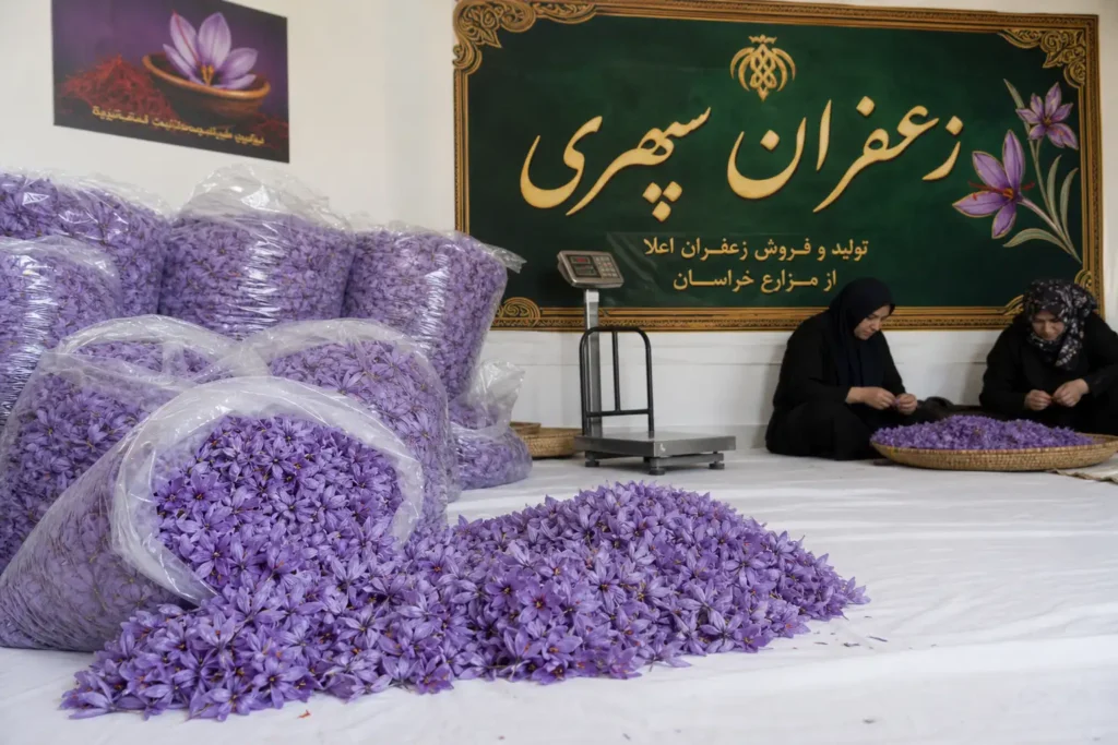 زعفران سپهری